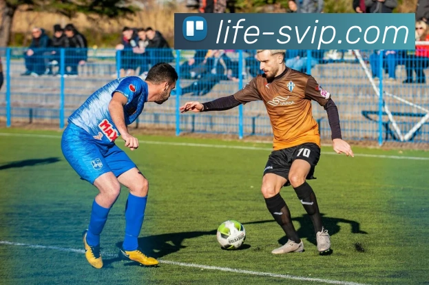 贵宾会官网平台生态图