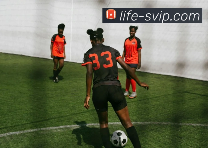 贵宾会官网全站App